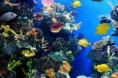 /album/fotogaleria/haus-der-natur-jpg/